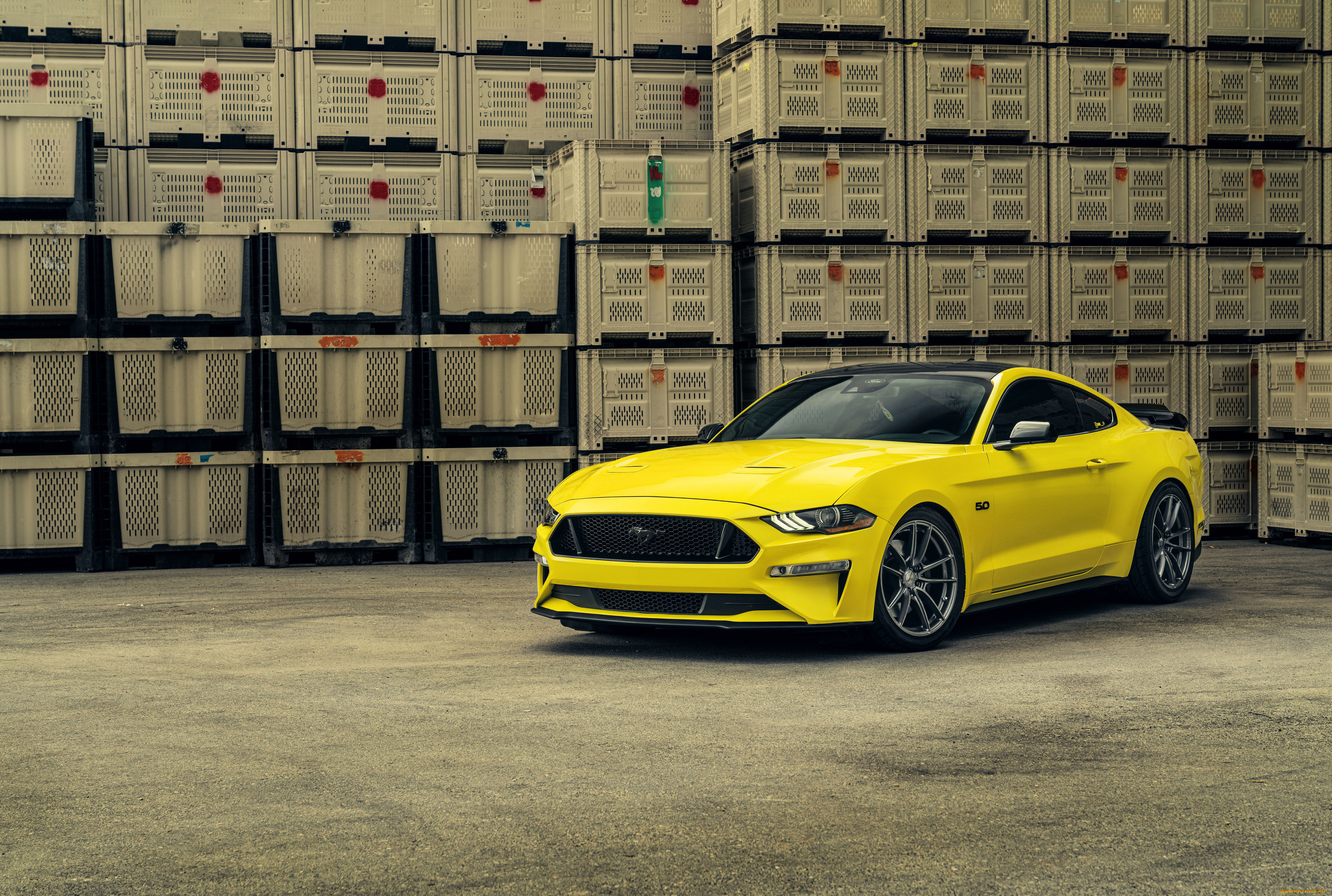 , mustang, 2023, velgen, yellow, ford, , , , 